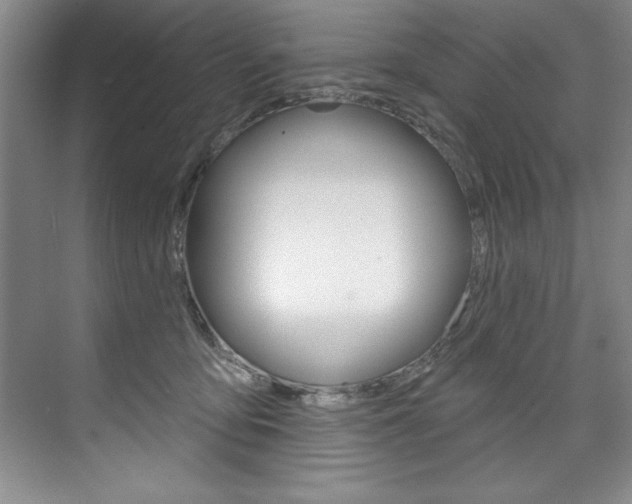 X0000075880419200609151012