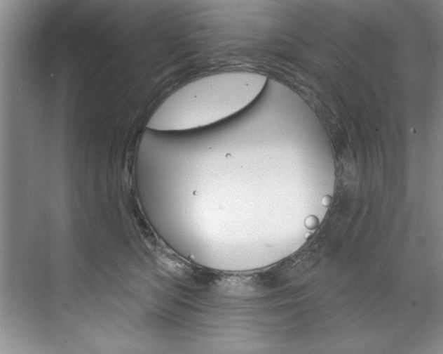 X0000075880422200609151012