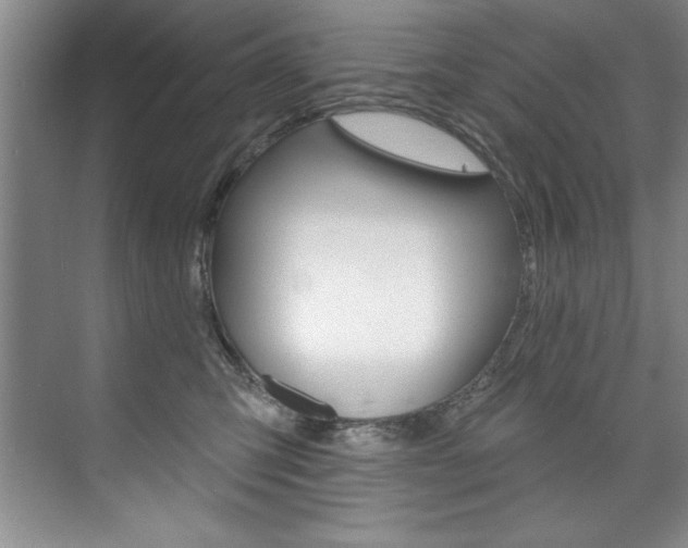 X0000075880423200609151012