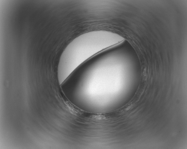X0000075880424200609151012