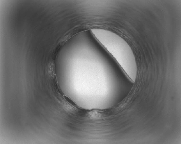 X0000075880425200609151012