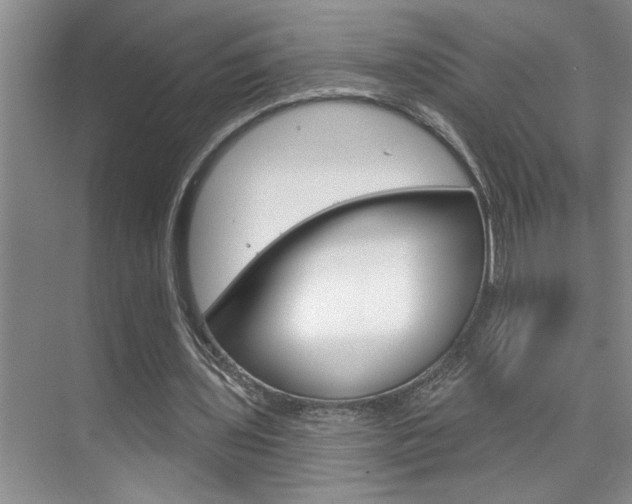 X0000075880435200609151011