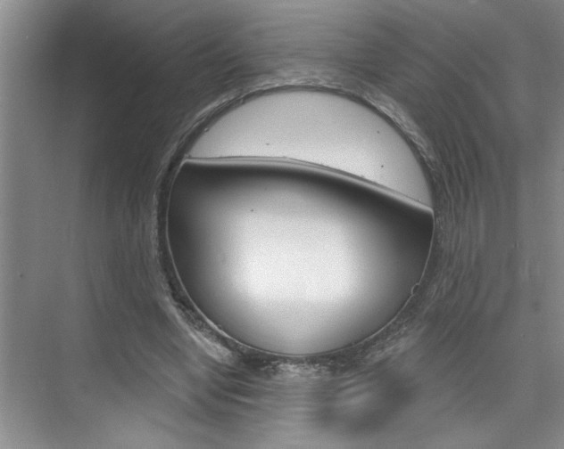 X0000075880442200609151011