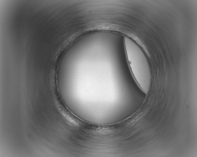 X0000075880445200609151011