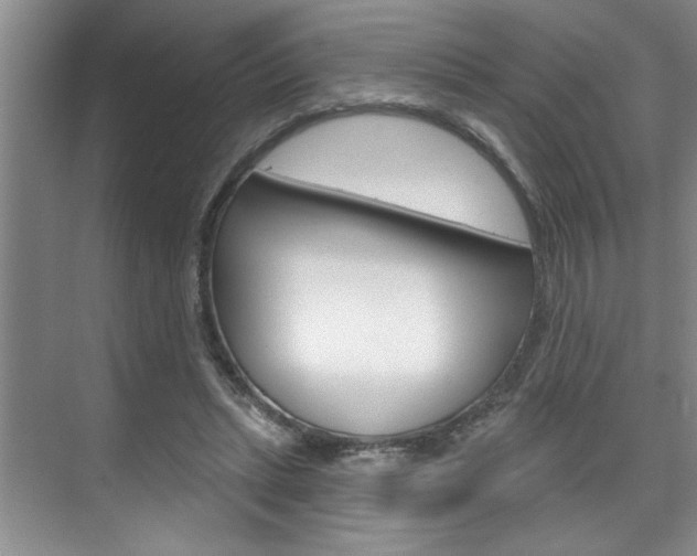 X0000075880447200609151011