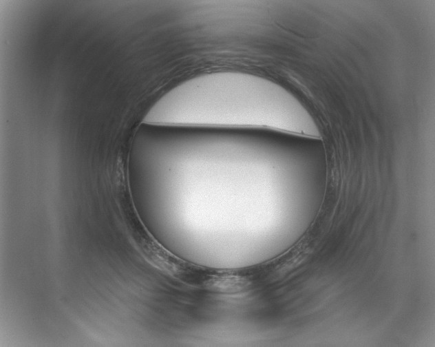 X0000075880459200609151012