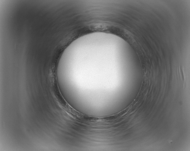 X0000075880460200609151012