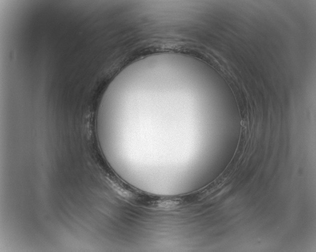 X0000075880462200609151012