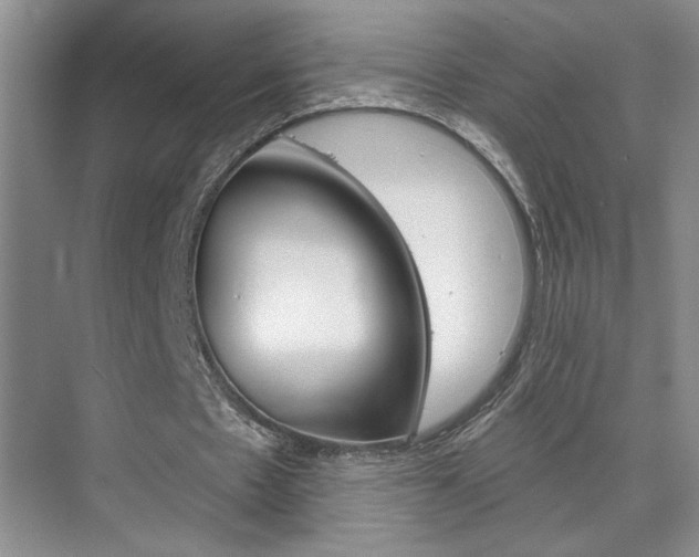 X0000075880481200609151011