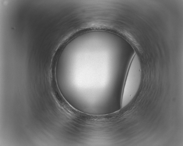 X0000075880488200609151011