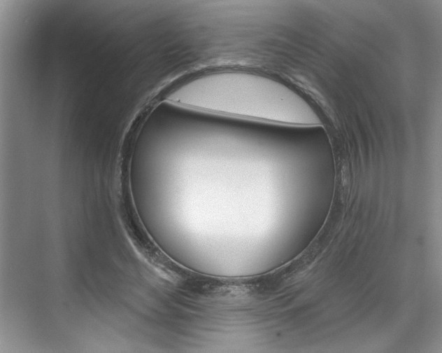 X0000075880492200609151011