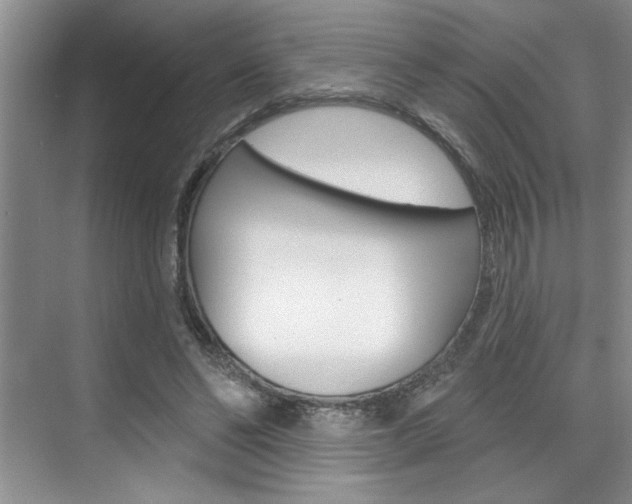 X0000075880494200609151011