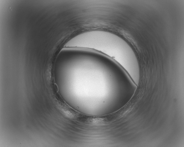 X0000075880501200609151011