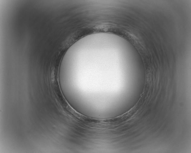 X0000075880504200609151011