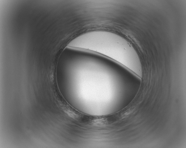 X0000075880505200609151011