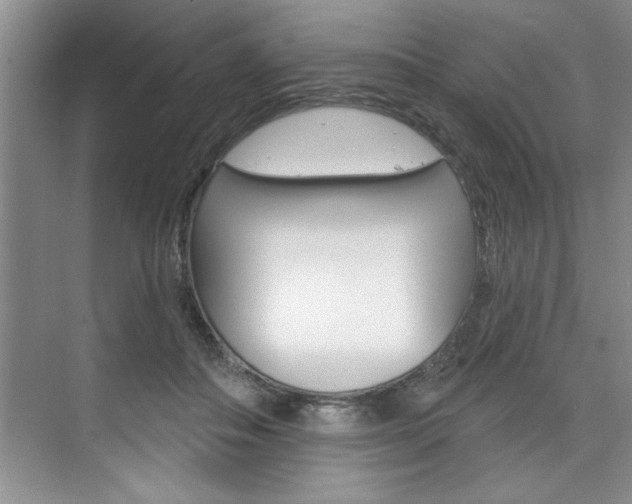 X0000075880506200609151011