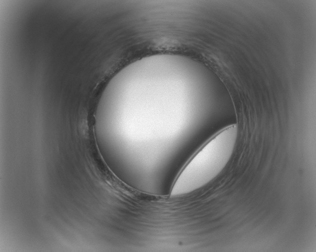 X0000075880508200609151011