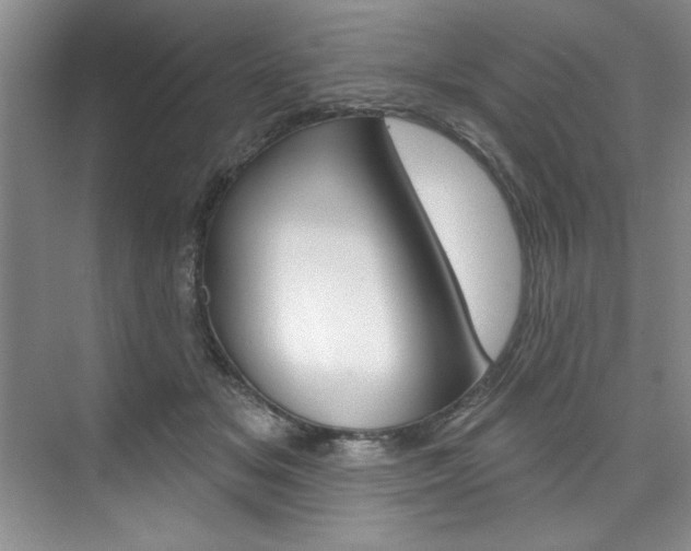 X0000075880509200609151011