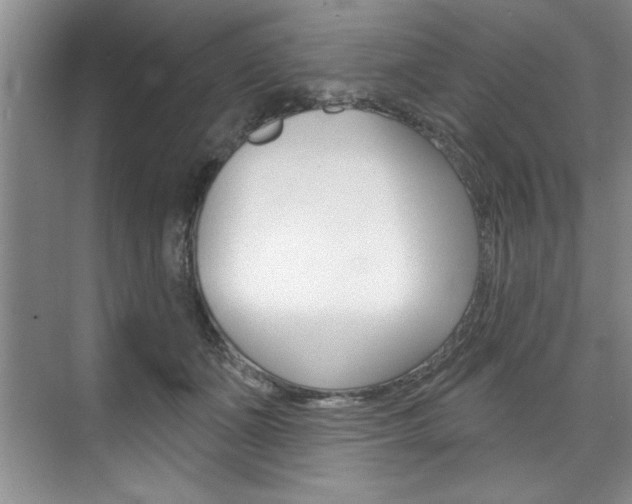 X0000075880511200609151011