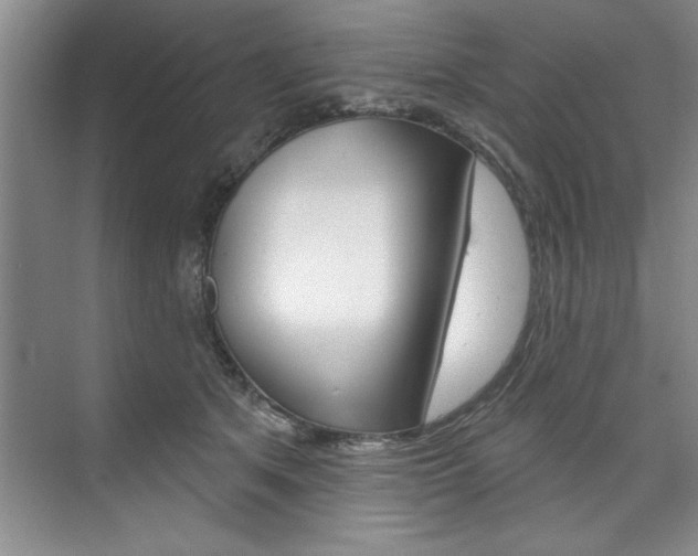 X0000075880513200609151011
