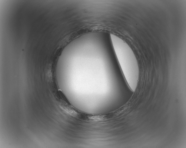 X0000075880516200609151011