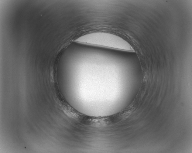 X0000075880524200609151010