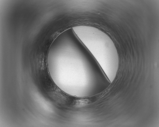 X0000075880525200609151010