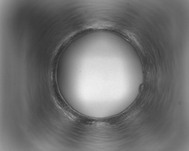 X0000075880539200609151010
