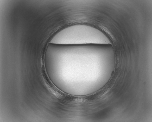 X0000075880541200609151010