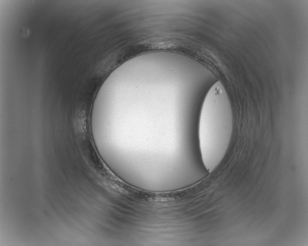 X0000075880549200609151010