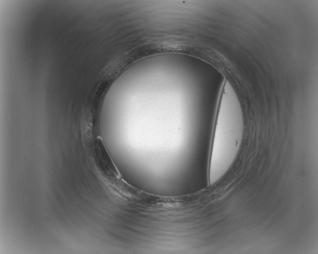 X0000075880552200609151010