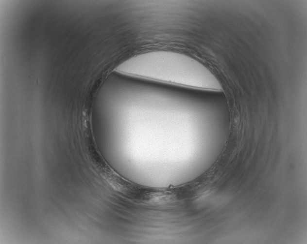 X0000075880555200609151010