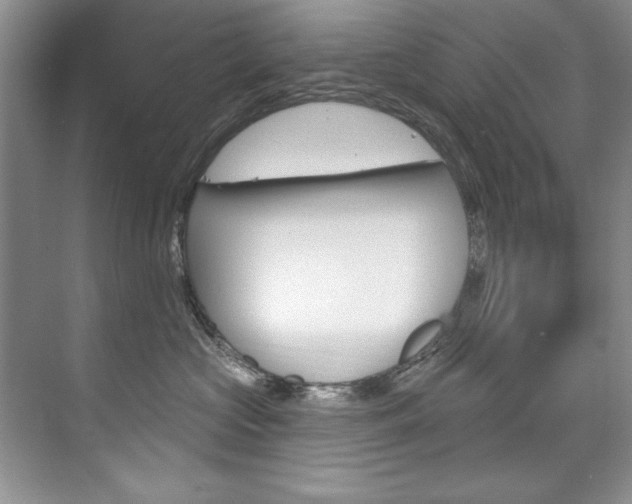 X0000075880573200609151010