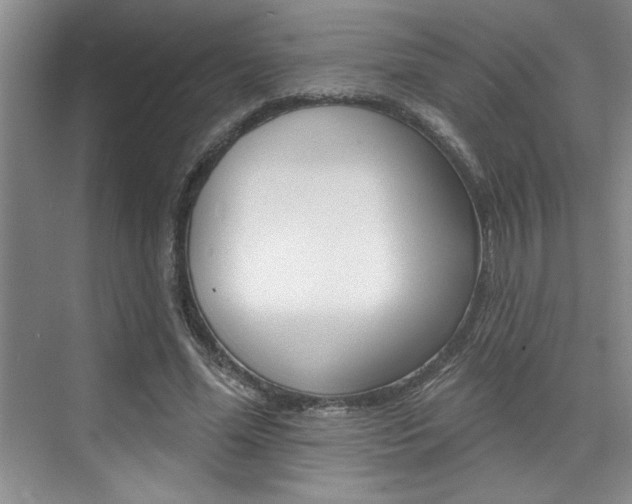 X0000075880588200609151009