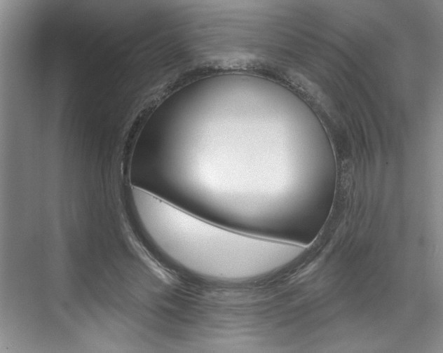 X0000075880589200609151009