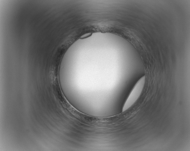 X0000075880599200609151009