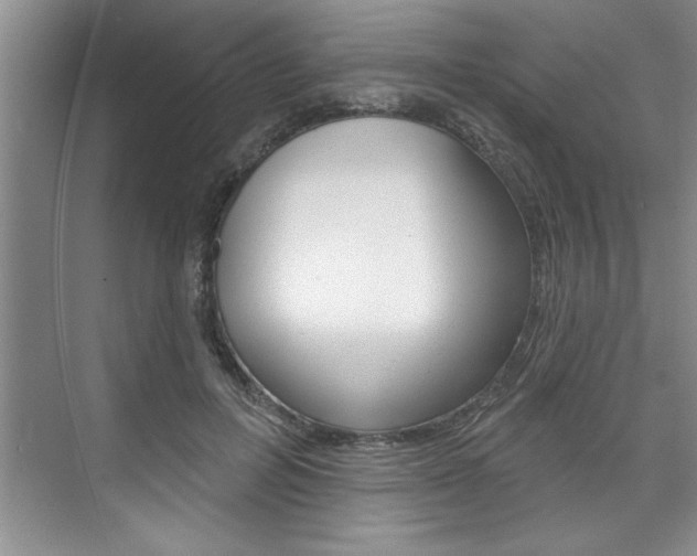 X0000075880600200609151009