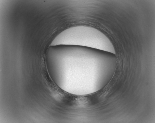 X0000075880603200609151009