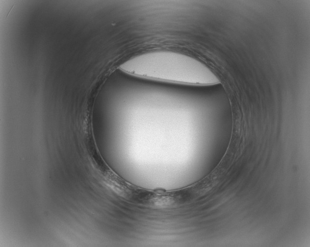 X0000075880604200609151009