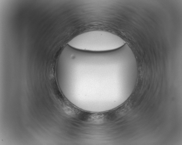 X0000075880606200609151009