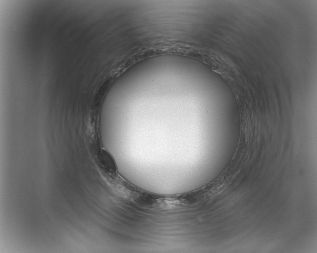X0000075880607200609151009