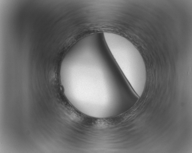 X0000075880608200609151009