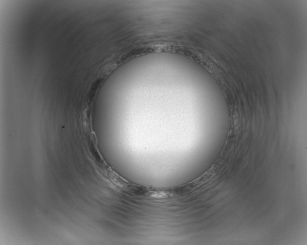 X0000075880611200609151009
