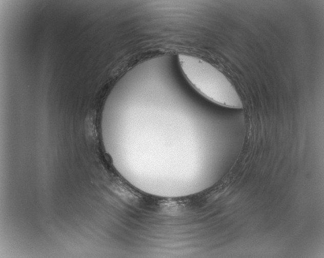 X0000075880616200609151009