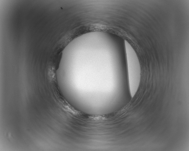 X0000075880621200609151009
