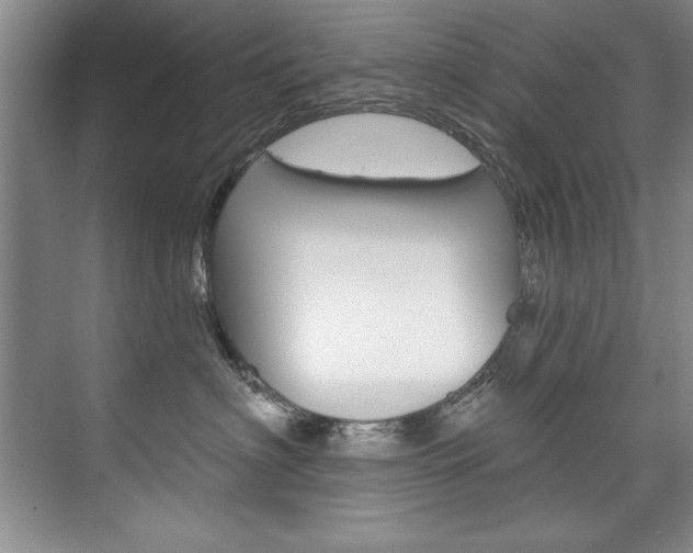 X0000075880622200609151009