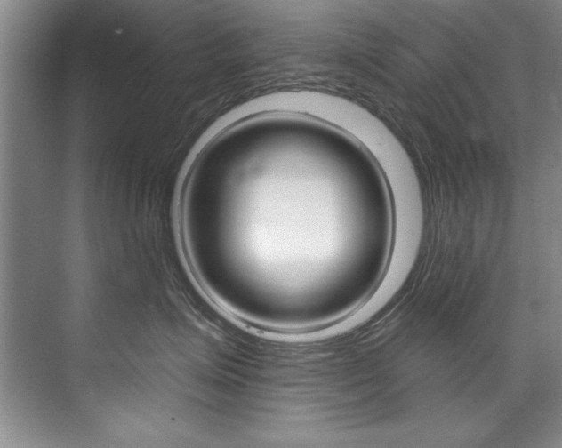 X0000075880623200609151009