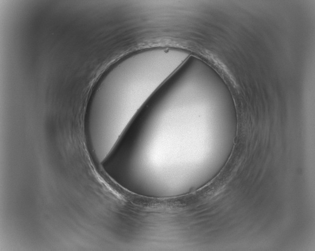 X0000075880625200609151008