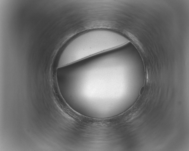 X0000075880627200609151008