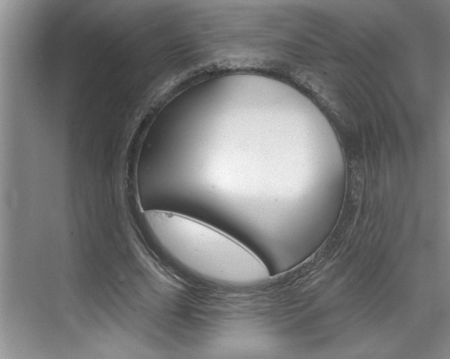 X0000075880631200609151008
